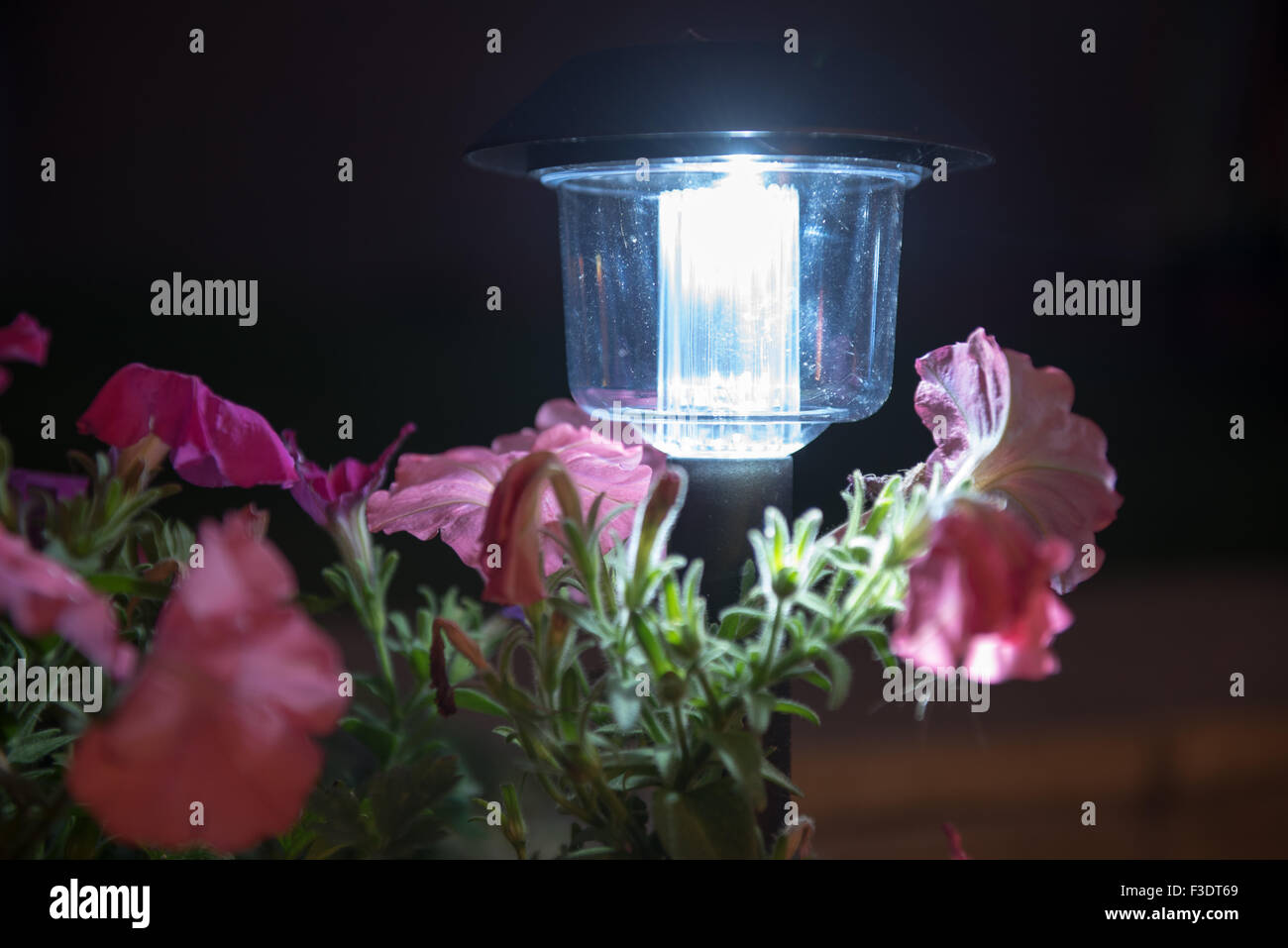 Solar Light at night with Flowers Stock Photo