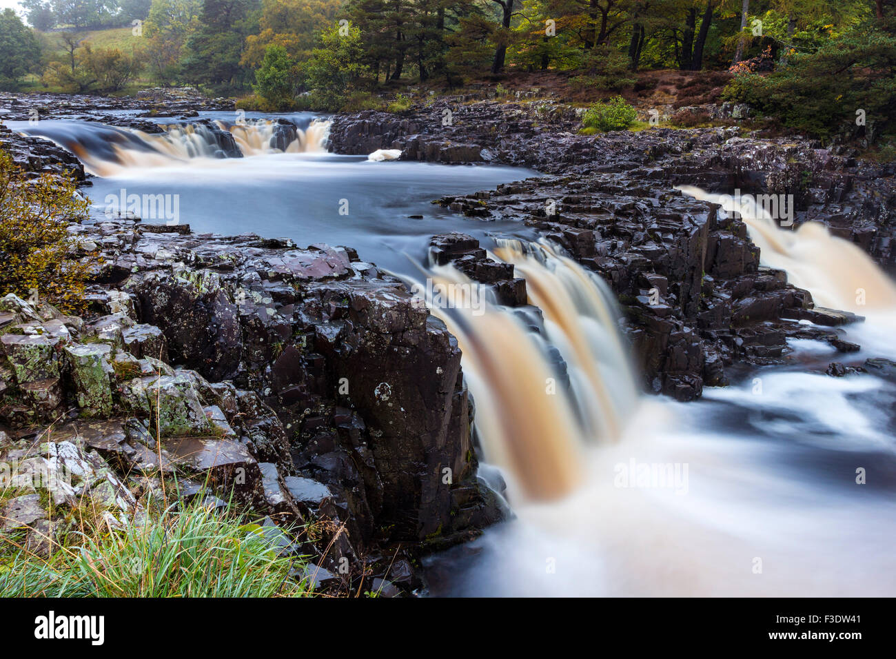River Tees, Low Force, Bowlees, Teesdale, County Durham.  Tuesday 6th October 2015, UK Weather.  In the North Pennines overnight rain gave way to drizzle this morning, which meant it was misty and murky start to the day in Upper Teesdale.  The forecast for the rest of the day is for the rain to push north by early afternoon leading to some sunny spells and perhaps the odd shower.  Rain however is expected to return overnight. Credit:  David Forster/Alamy Live News Stock Photo