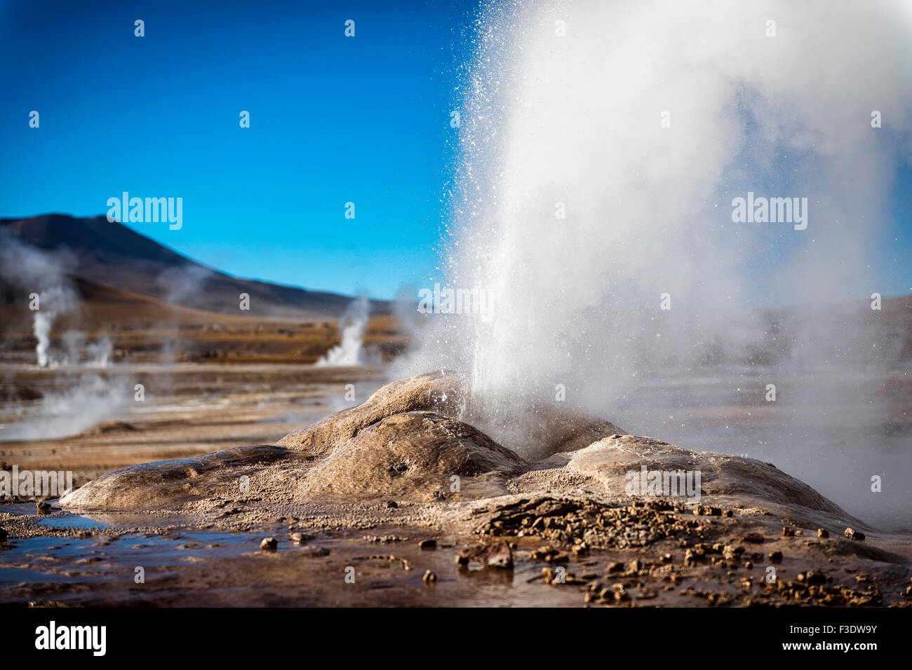 Geysers del Tatio in the Atacama Desert; 2013 Stock Photo