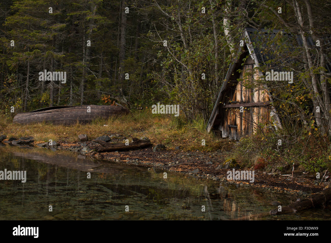Old boat and boathouse in the woods. Stock Photo