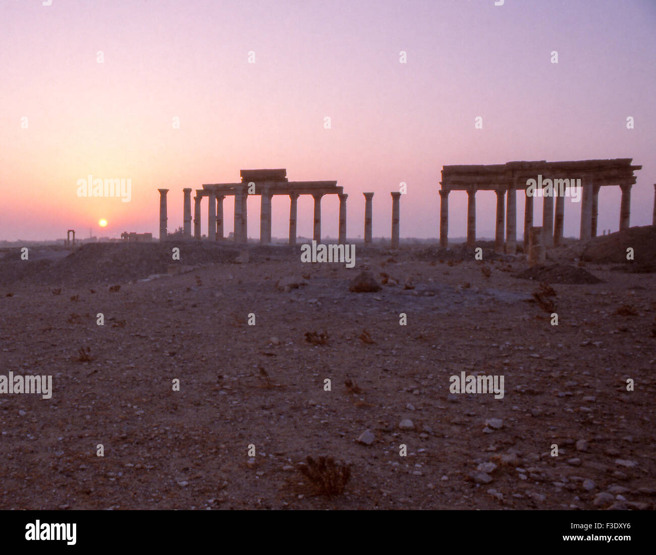 Tadmor in the desert hi-res stock photography and images - Alamy