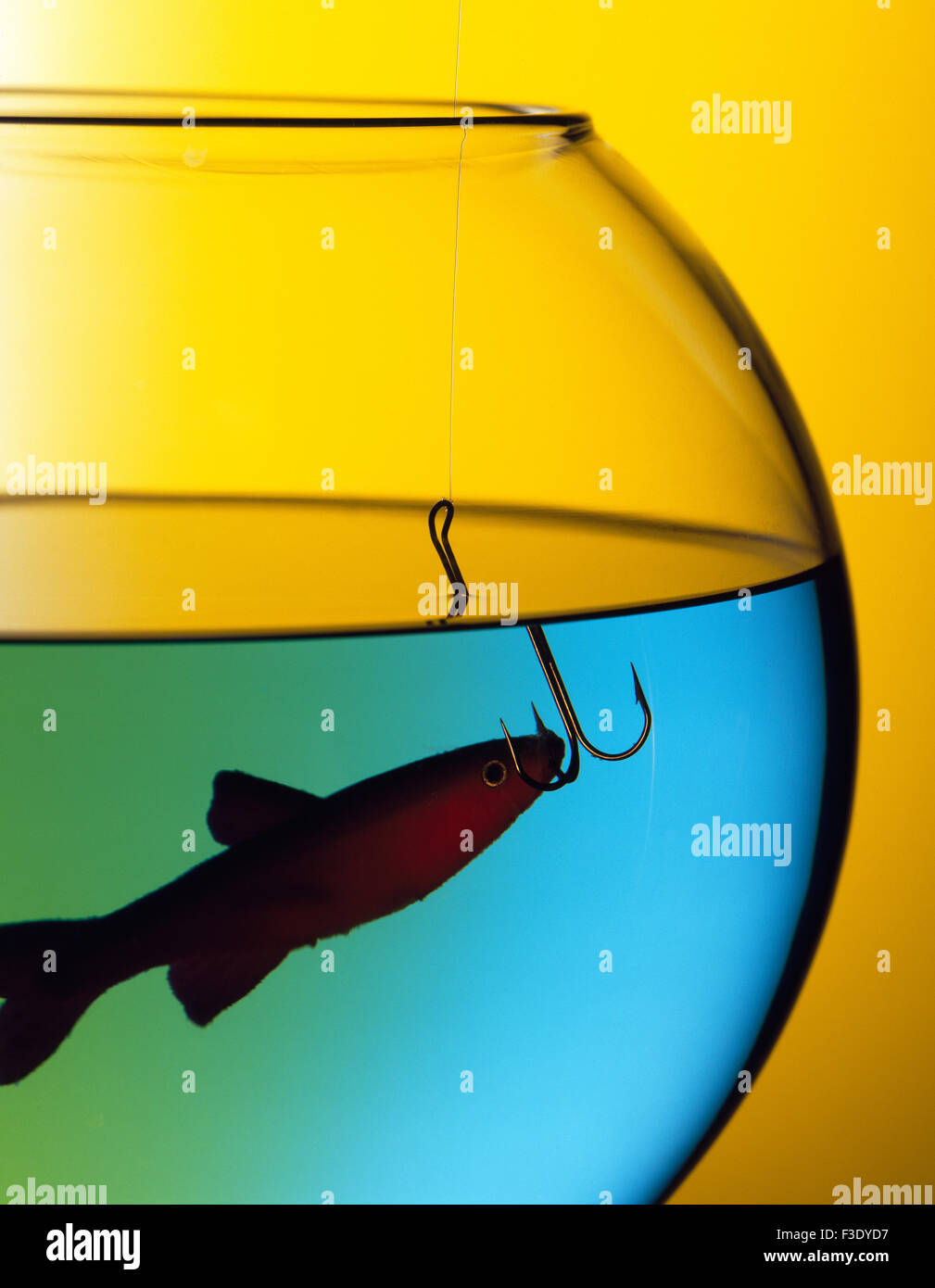 Goldfish in fishbowl caught on hook Stock Photo