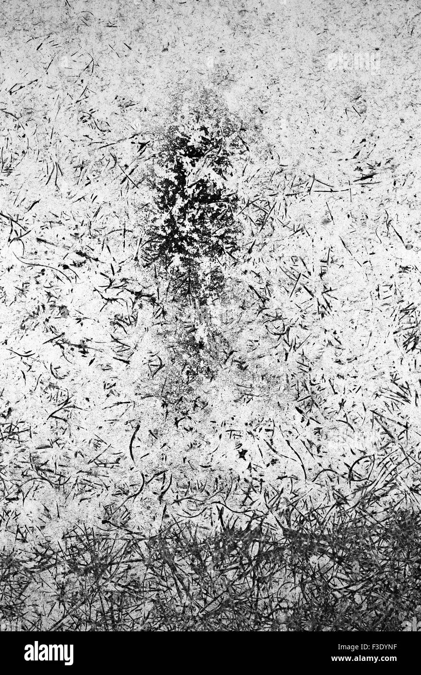Cracked concrete floor Stock Photo
