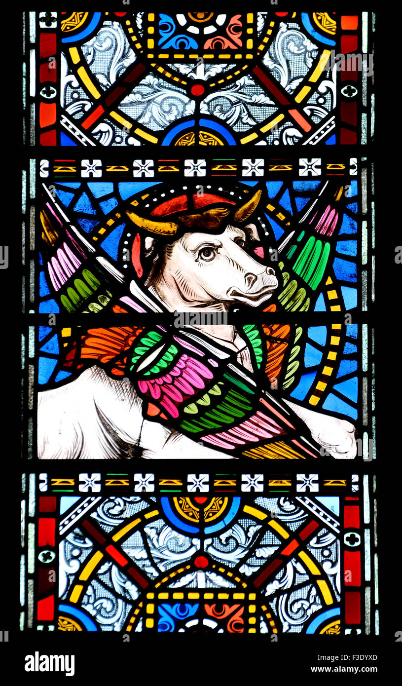 London, England, UK. All Saints Church, Margaret Street. Stained glass window: Bull of St Luke the Evangelist Stock Photo