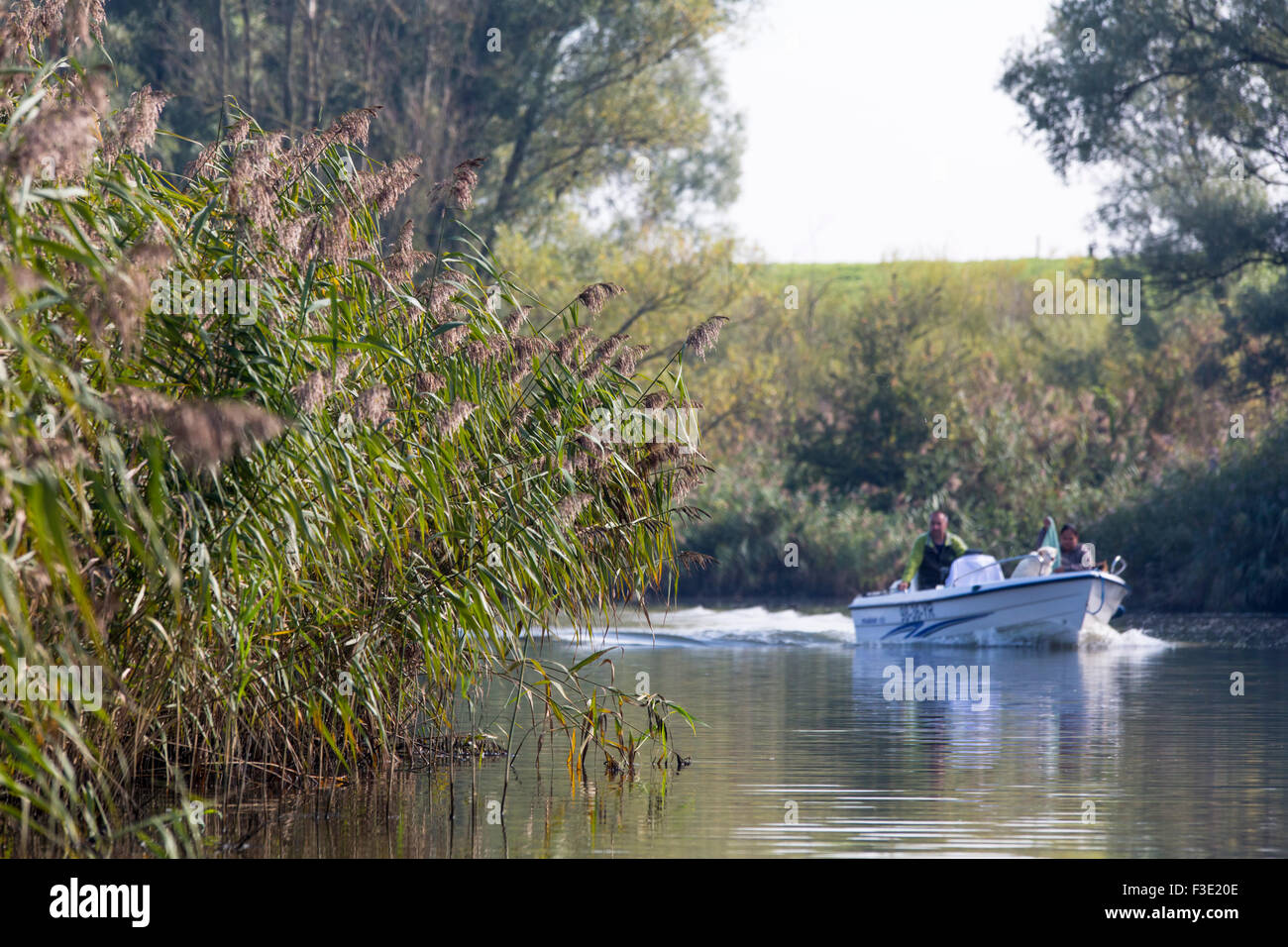Tourist sailing a rent boat in National park 'the Biesbosch' in the Netherlands Stock Photo
