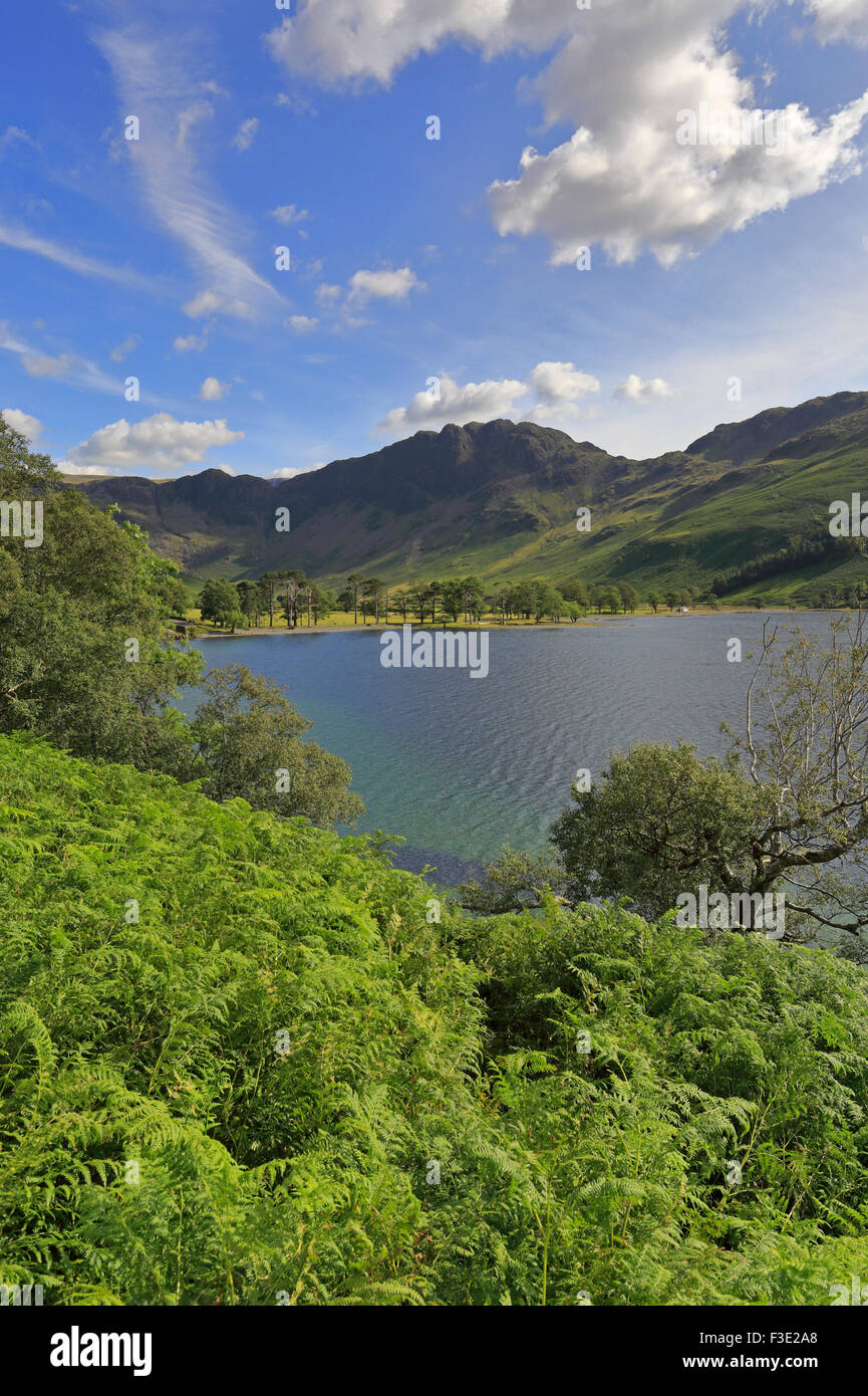Buttermere and Haystacks mountain range, Cumbria, Lake District National Park, England, UK Stock