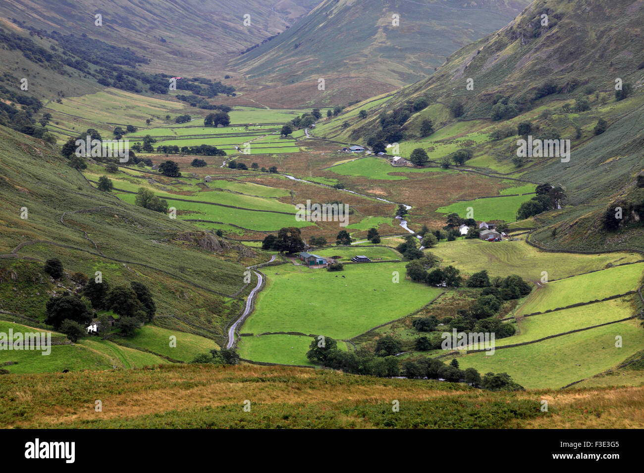 Summer, Martindale Common valley, Lake District National Park, Cumbria County, England, UK Stock
