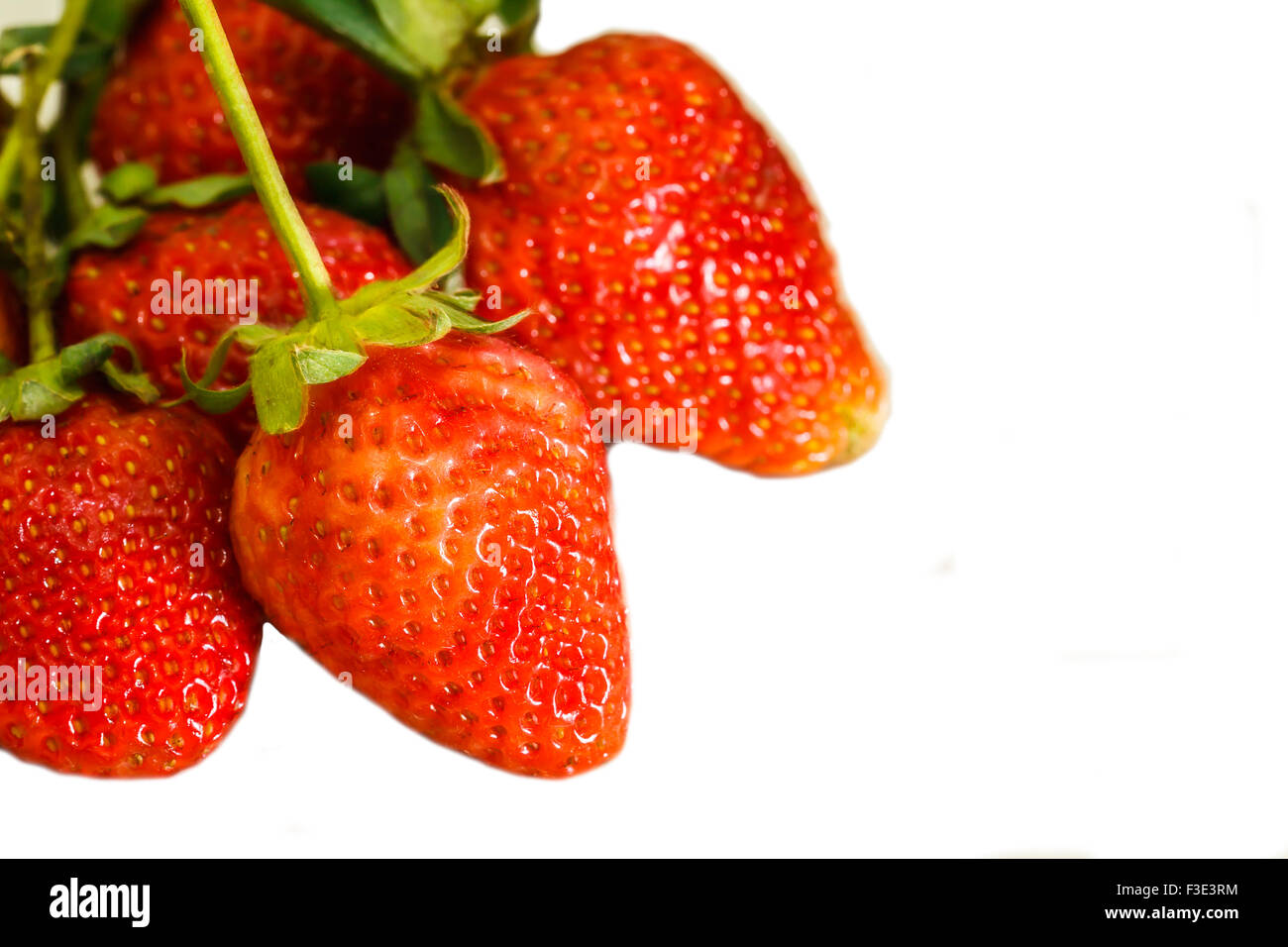 Strawberry berries on a white background Stock Photo - Alamy