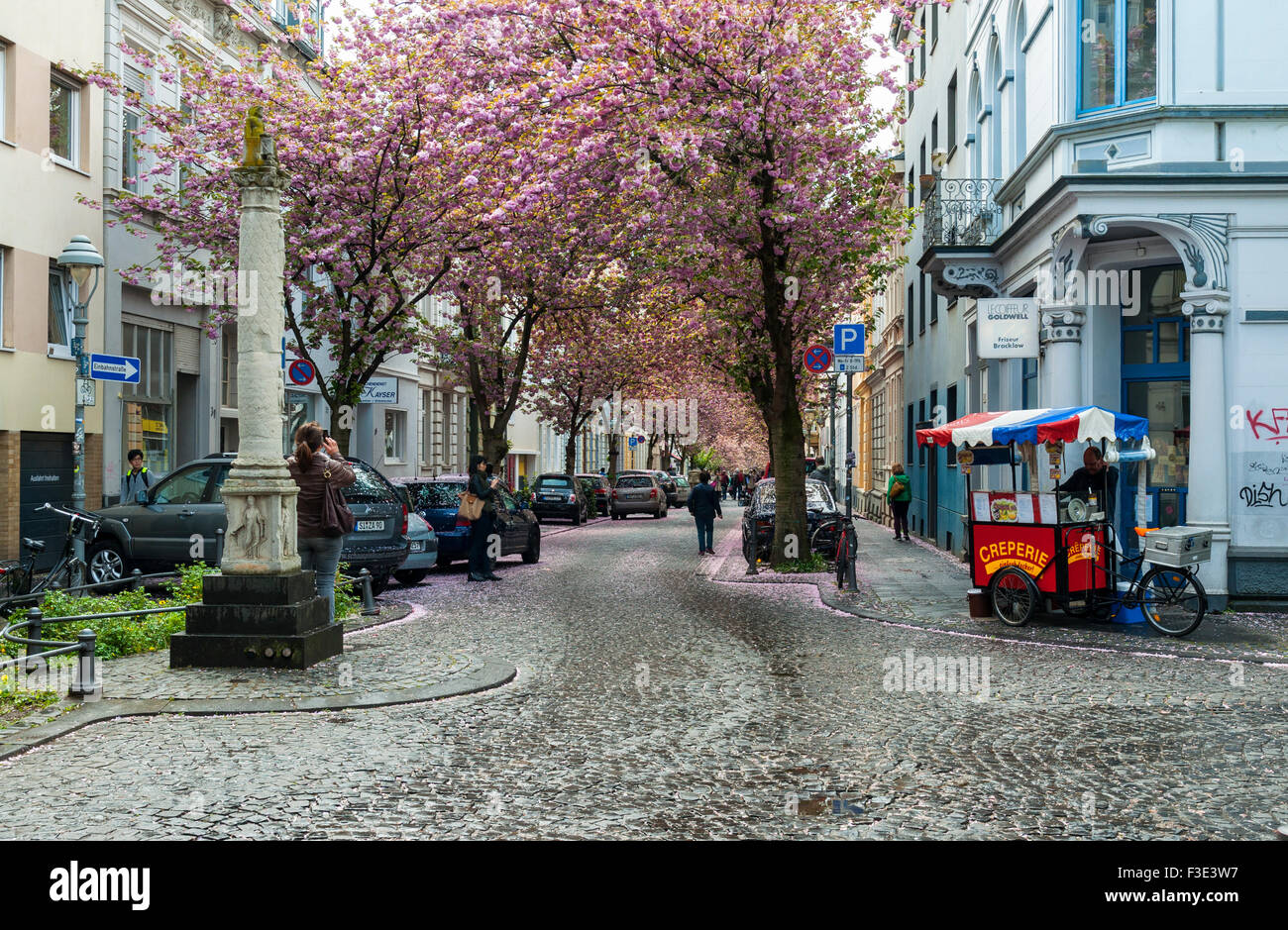Visitors to Bonn viewing the cherry blossoms in the old town, Germany. Stock Photo