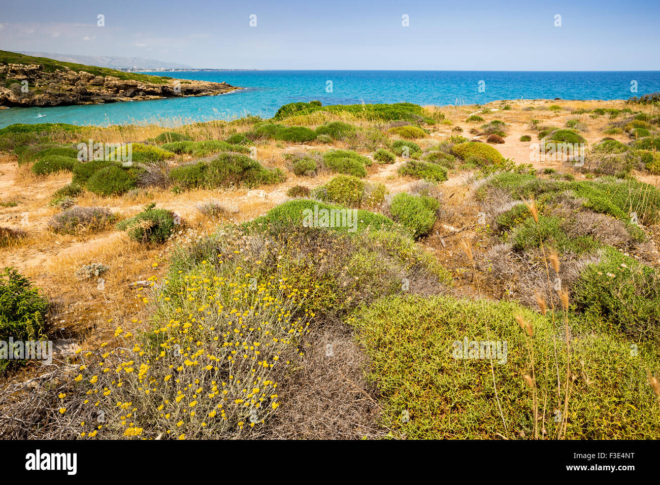 Mediterranean vegetation. Calamosche, Noto, Italy Stock Photo
