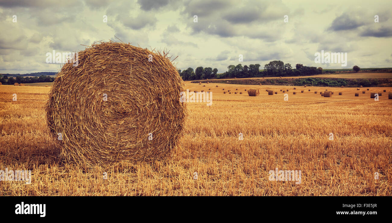 Haystack in the field Stock Photo