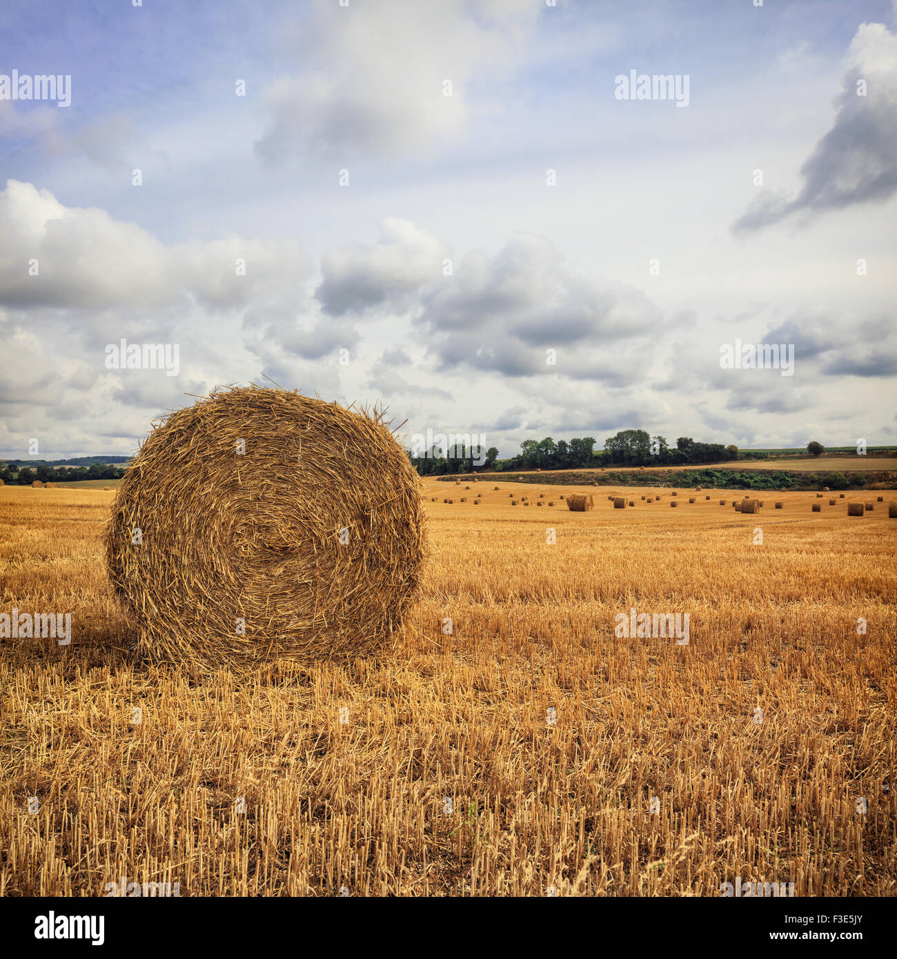 Haystack in the field Stock Photo