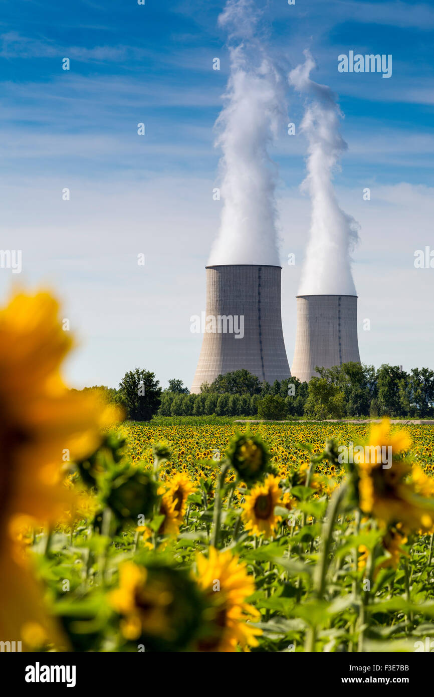 Golfech Nuclear Power Plant sunflowers field Tarn et Garonne France Europe Stock Photo