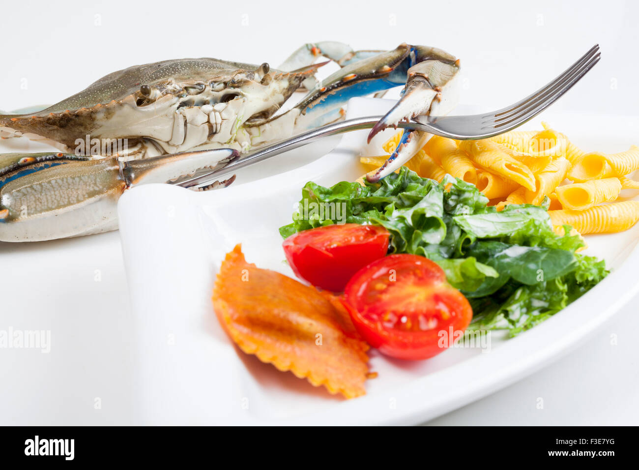 Blue crab ready to eat a meal Stock Photo