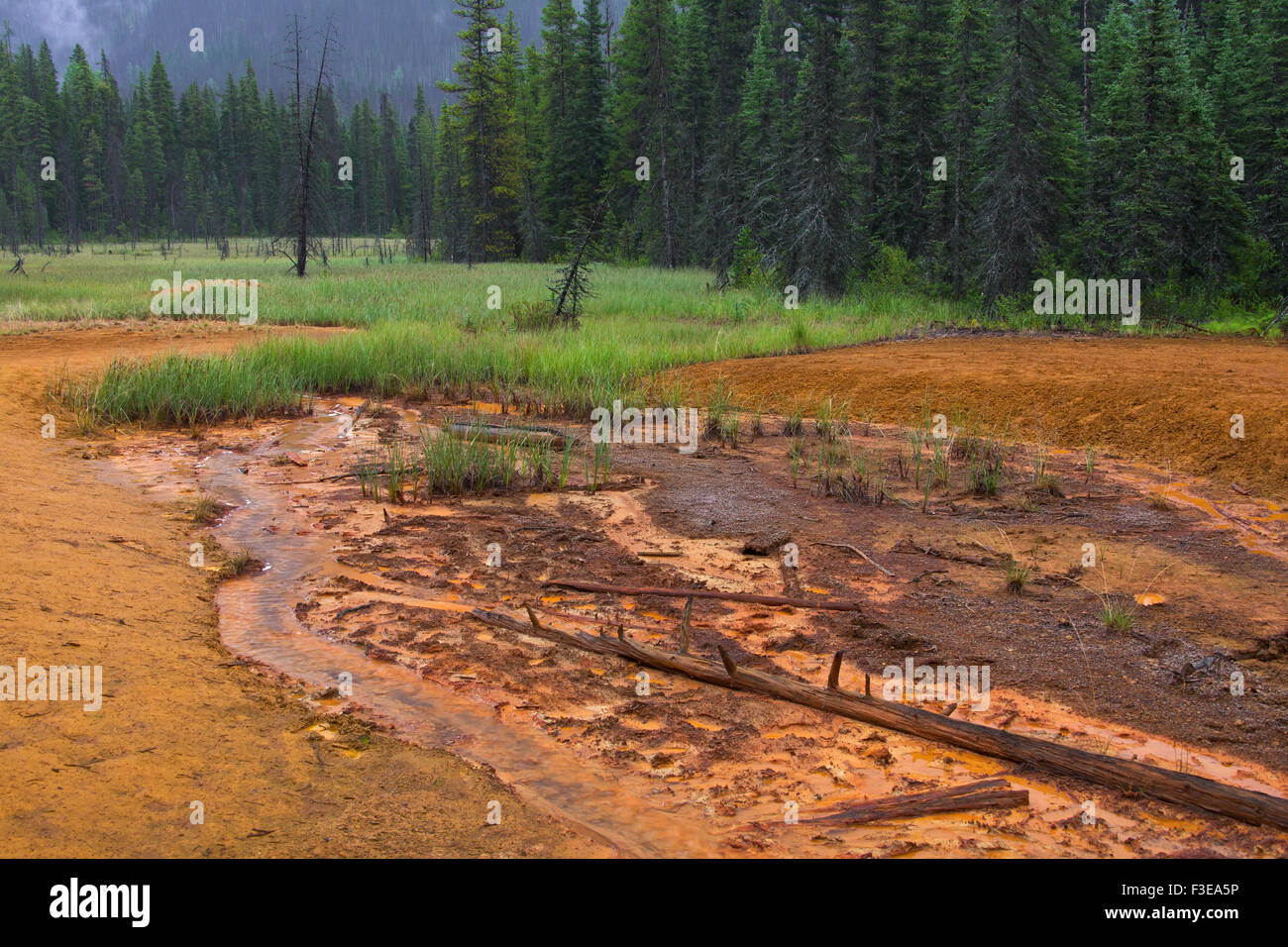 Paint Pots, iron-rich cold mineral springs in the Kootenay National Park, British Columbia, Canada Stock Photo