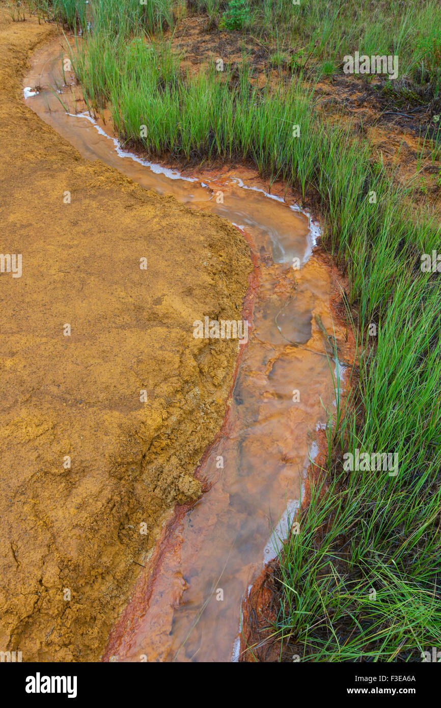 Paint Pots, ironrich cold mineral springs in the Kootenay National