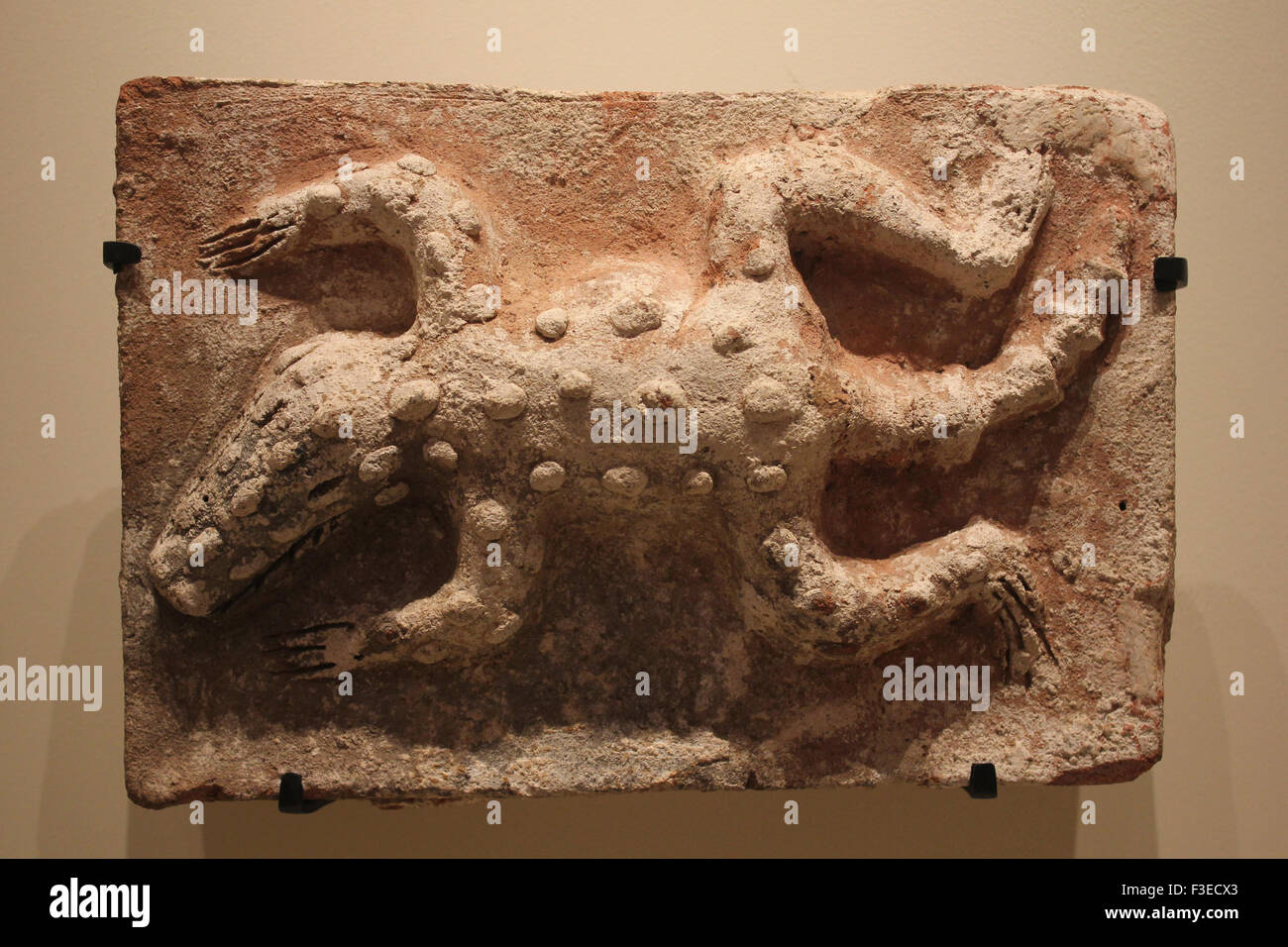 Brick With Crocodile, Mayan Stock Photo