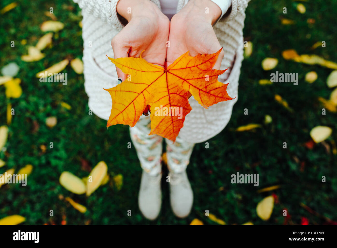 young girl holding autumn leaf in hands Stock Photo - Alamy