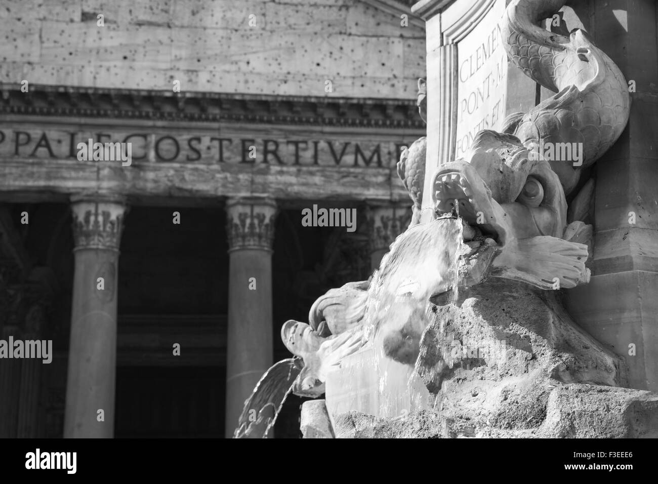 Fragment of fountain with dolphins sculptures. Italy, Roma. Piazza della Rotonda. Fontana del Pantheon Stock Photo