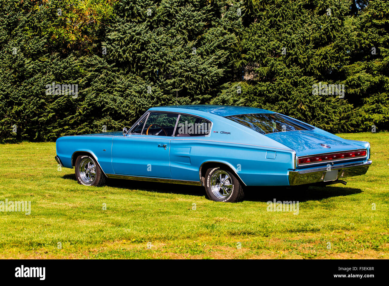 1966 Dodge Charger on grass Stock Photo