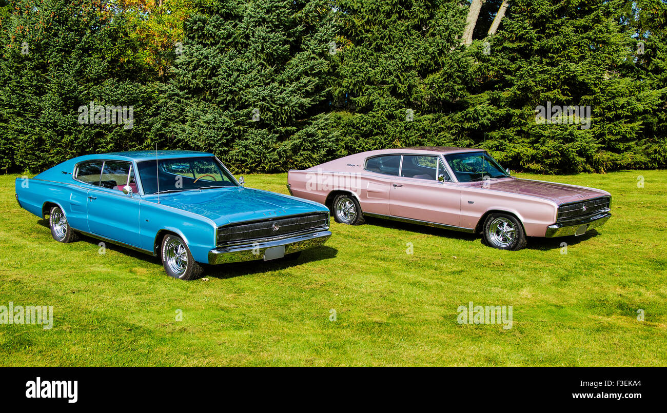 Two 1966 Dodge Charger on grass Stock Photo