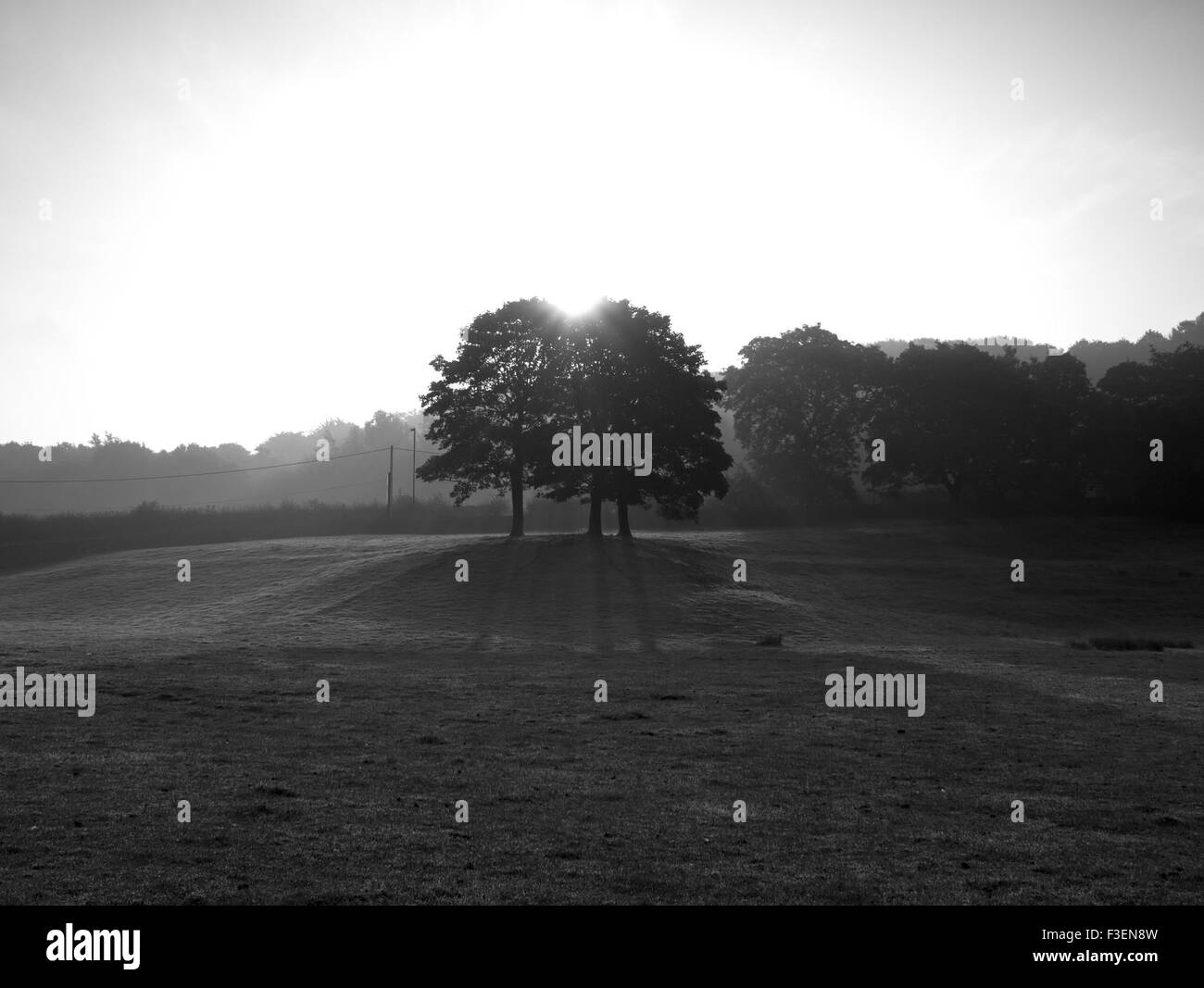 Field early morning Black and White Stock Photos & Images - Alamy