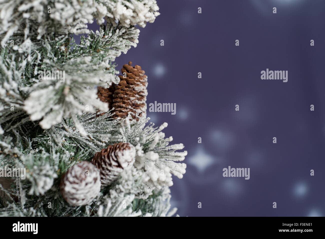 Night winter snowy forest Stock Photo - Alamy