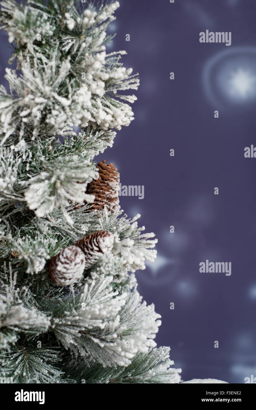 Night winter snowy forest Stock Photo - Alamy