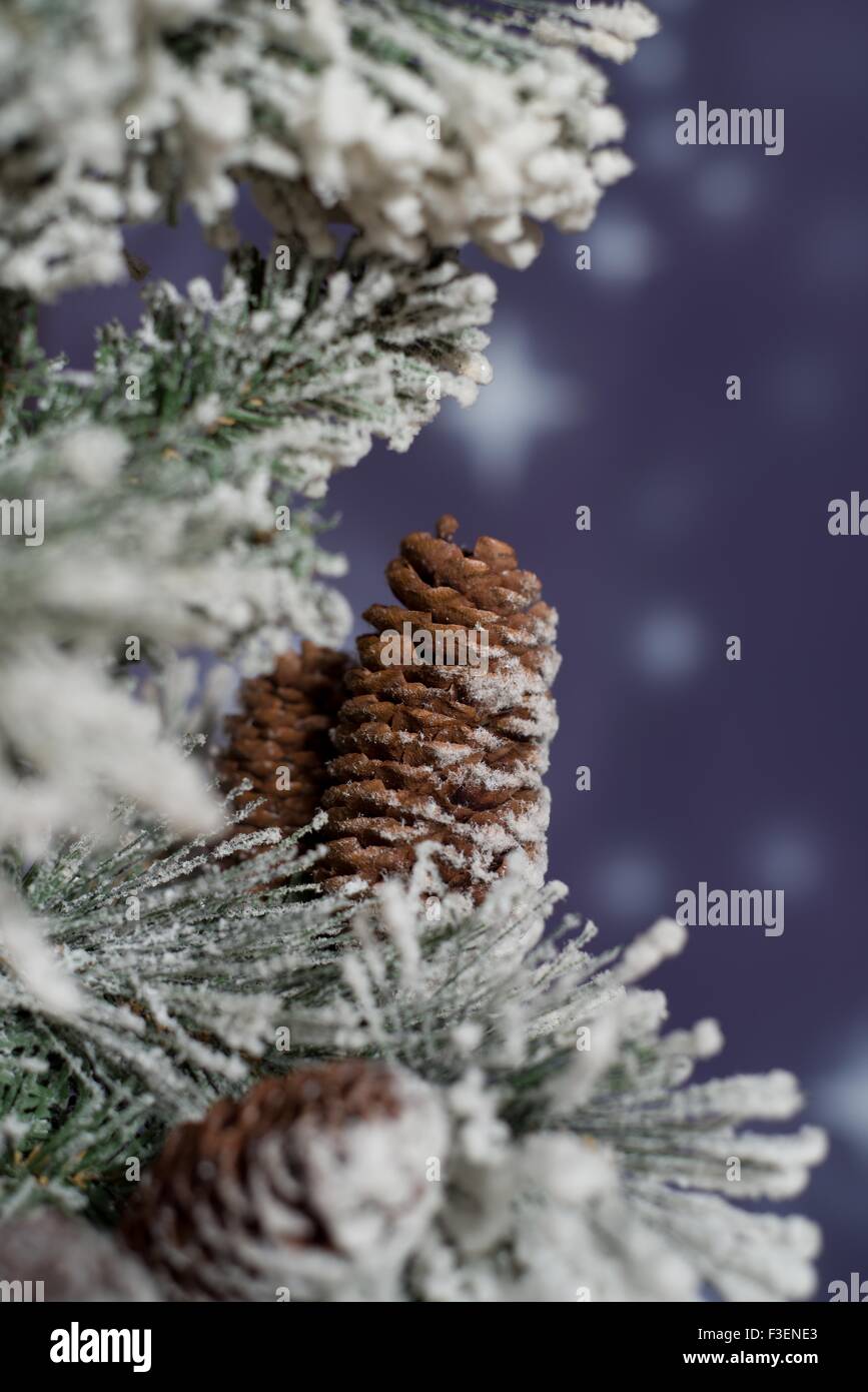 Night winter snowy forest Stock Photo - Alamy