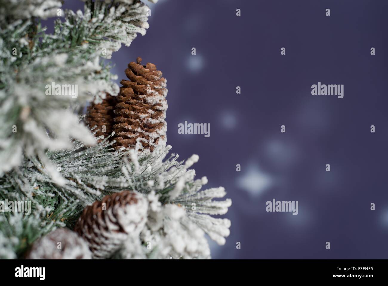 Night winter snowy forest Stock Photo - Alamy
