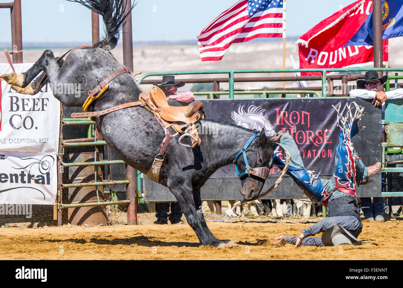 Rodeo's, Bruneanu Round-Up, Wild Ride, Saddle Bronc Riding, Bruneau, Idaho, USA Stock Photo