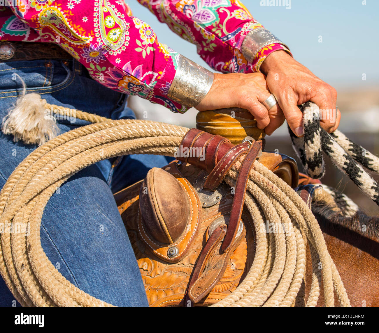 Rodeo's, Bruneau Round-Up, Cowgirl holding on to saddle horn. Bruneau, Idaho, USA Stock Photo