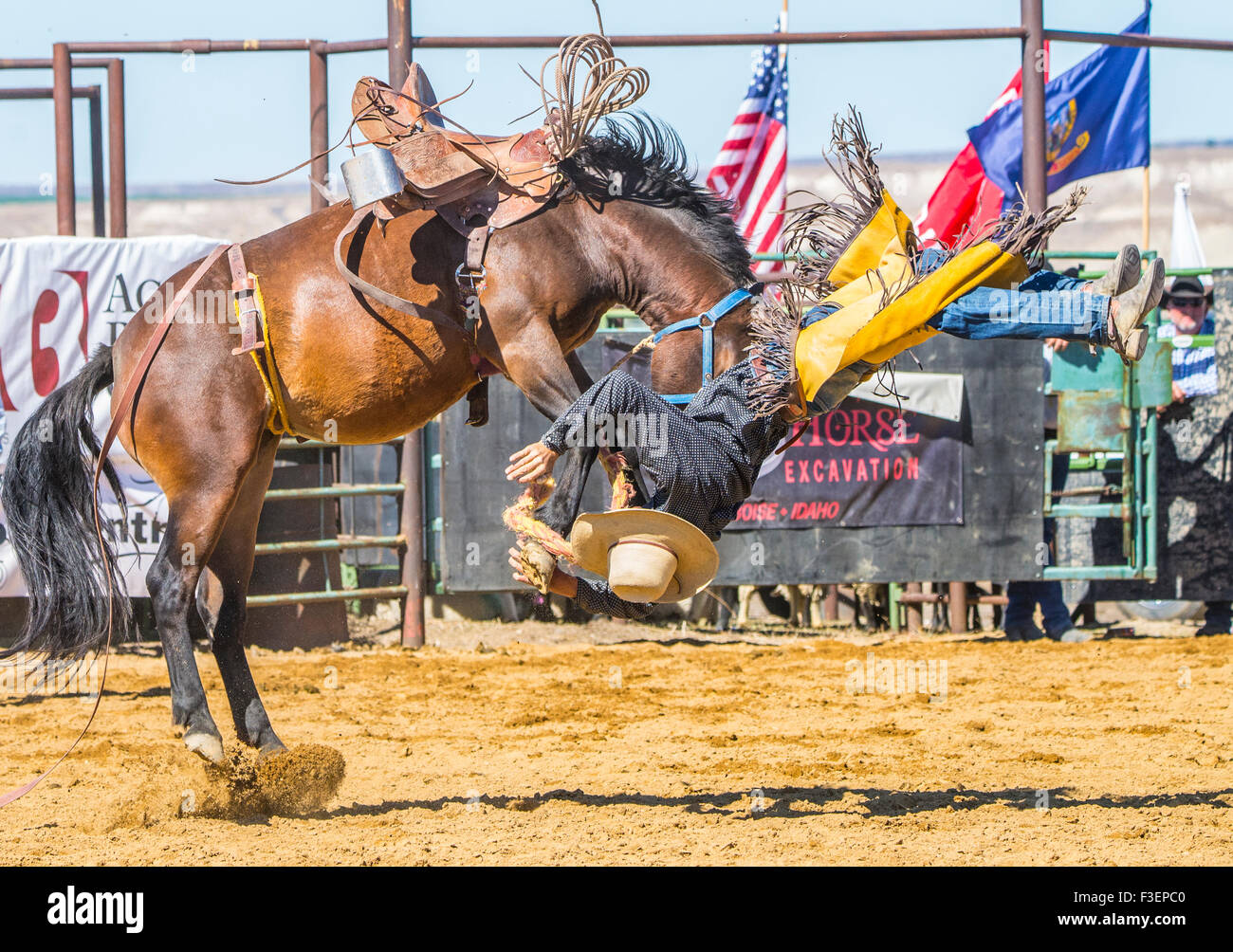 Rodeo's, Bruneau Round-Up, Wild Ride, Saddle Bronc Riding, Bruneau, Idaho, USA Stock Photo