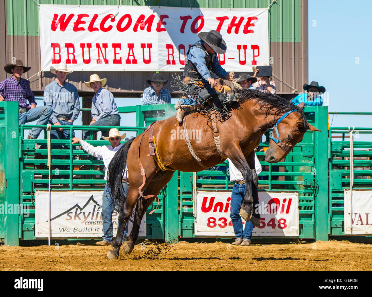 Rodeo's, Bruneau RoundUp, Saddle Bronc Riding, Bruneau, Idaho, USA