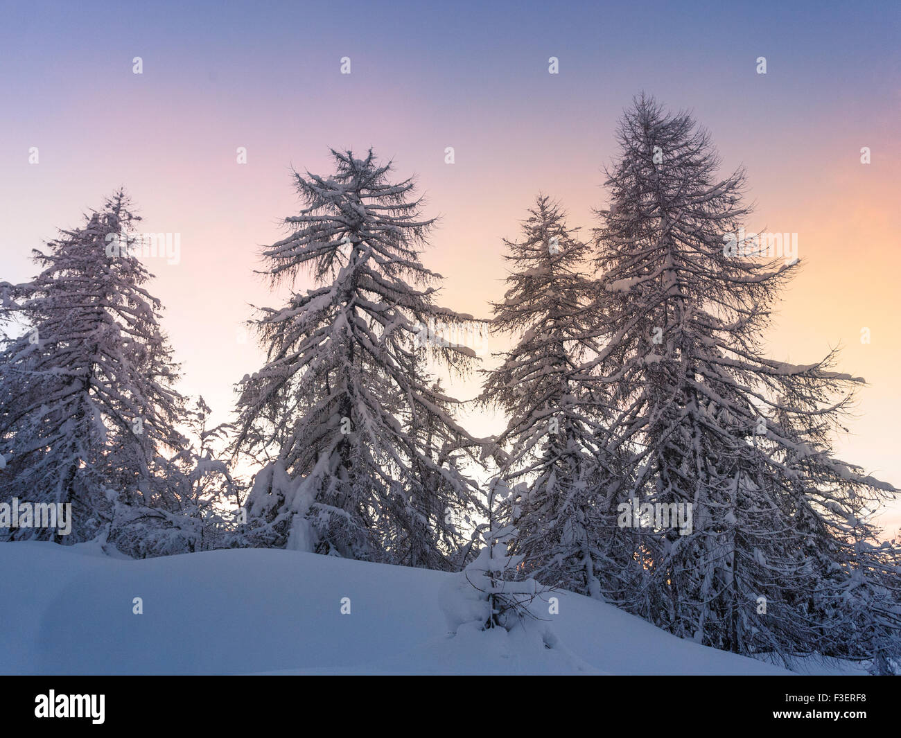 Beautiful winter landscape with snow covered trees -Slovenia Stock Photo