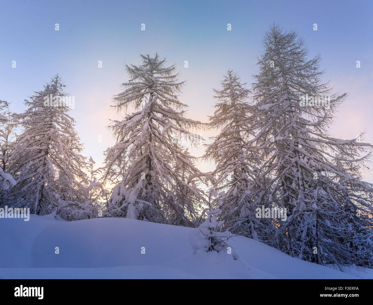 Beautiful winter landscape with snow covered trees -Slovenia Stock Photo