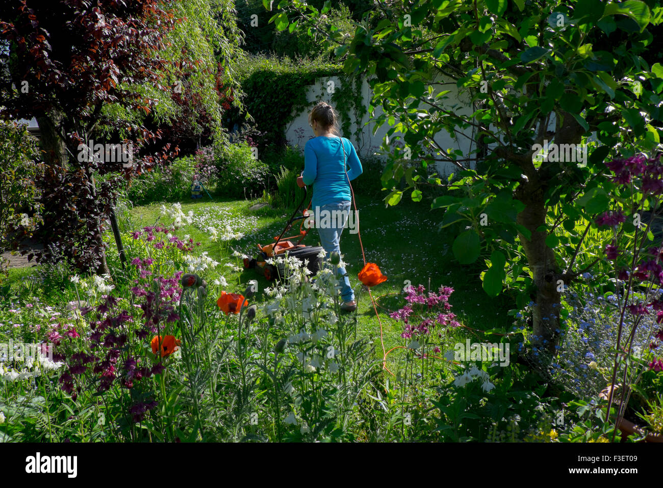 Elderly woman mowing lawn with electric mower, Wales, UK Stock Photo
