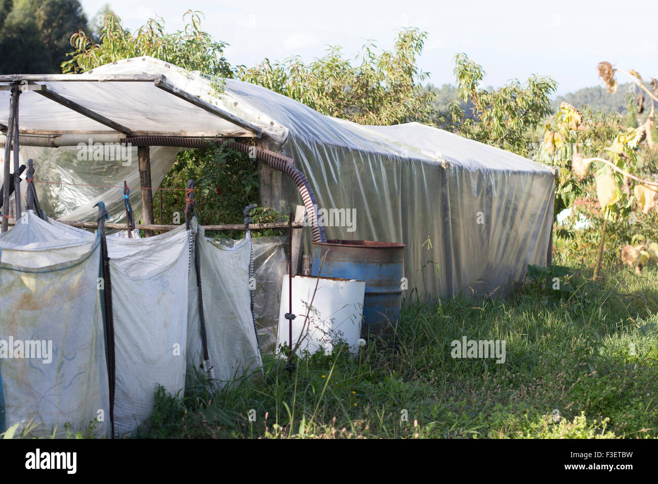 Broken hothouse Stock Photo