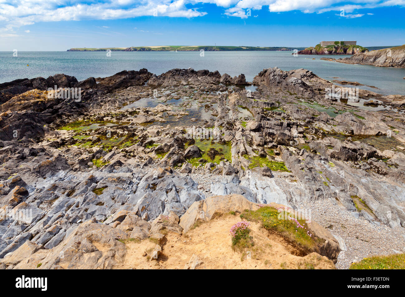 The view across Milford Haven towards St Ann's Head from West Angle Bay in the Pembrokeshire Coast National Park, Wales, UK Stock Photo