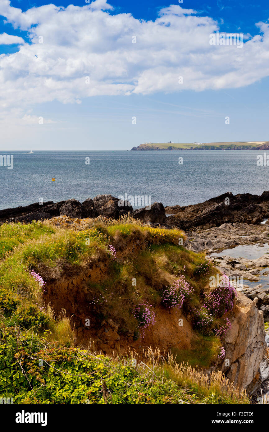 The view across Milford Haven towards St Ann's Head from West Angle Bay in the Pembrokeshire Coast National Park, Wales, UK Stock Photo