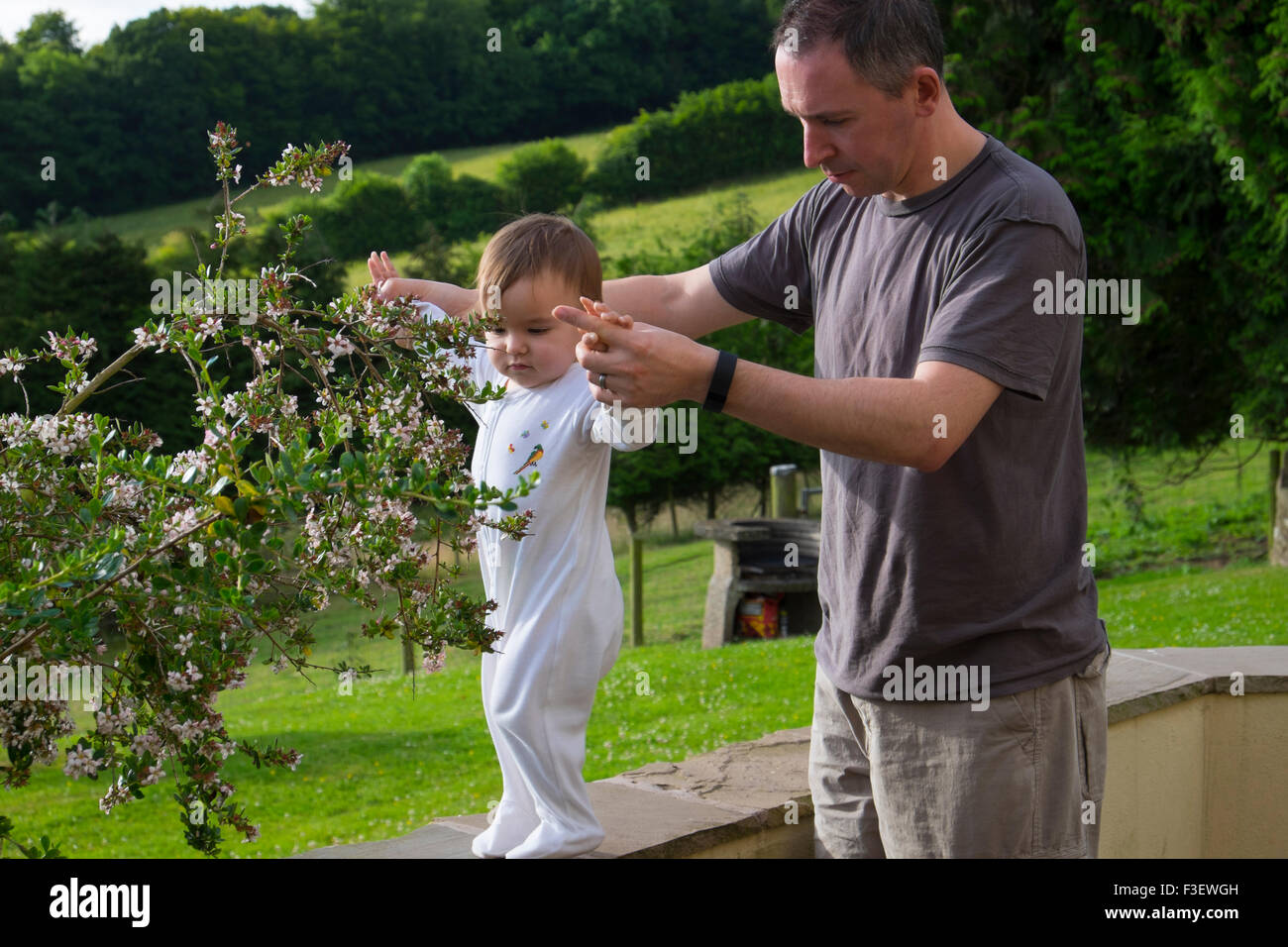 how to get my 16 month old to walk