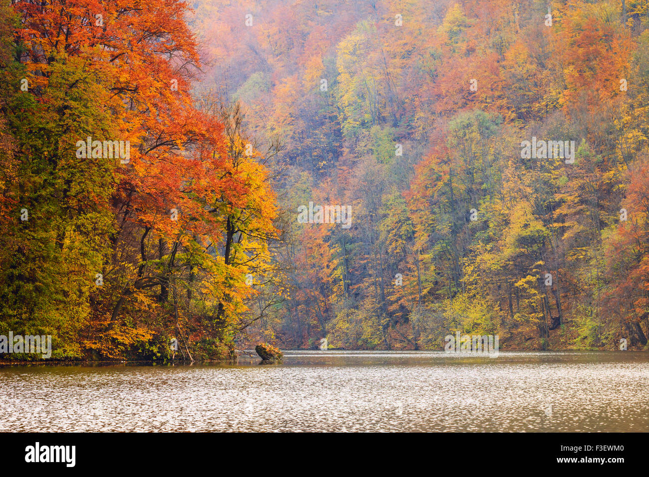 Autum forest lake Hamori - Hungary Stock Photo