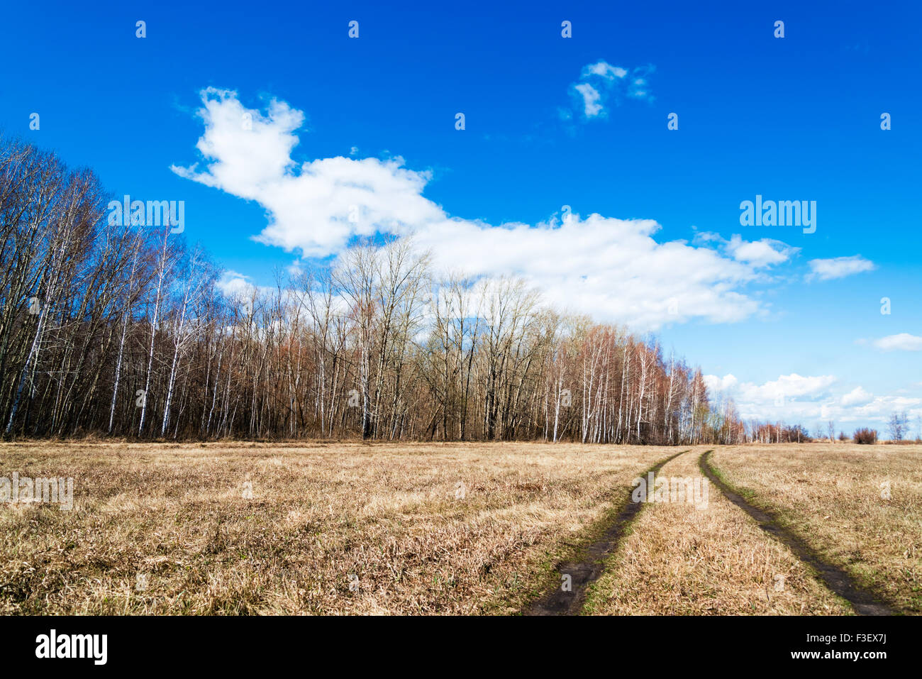 Beautiful rural landscape Stock Photo