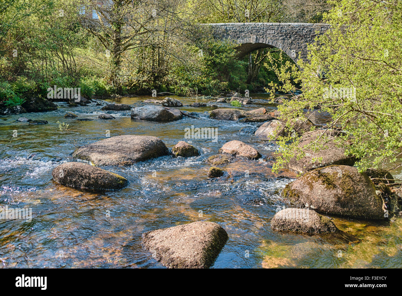 Cherry Brook River at the Dartmoor National Park, Devon, England, UK Stock Photo