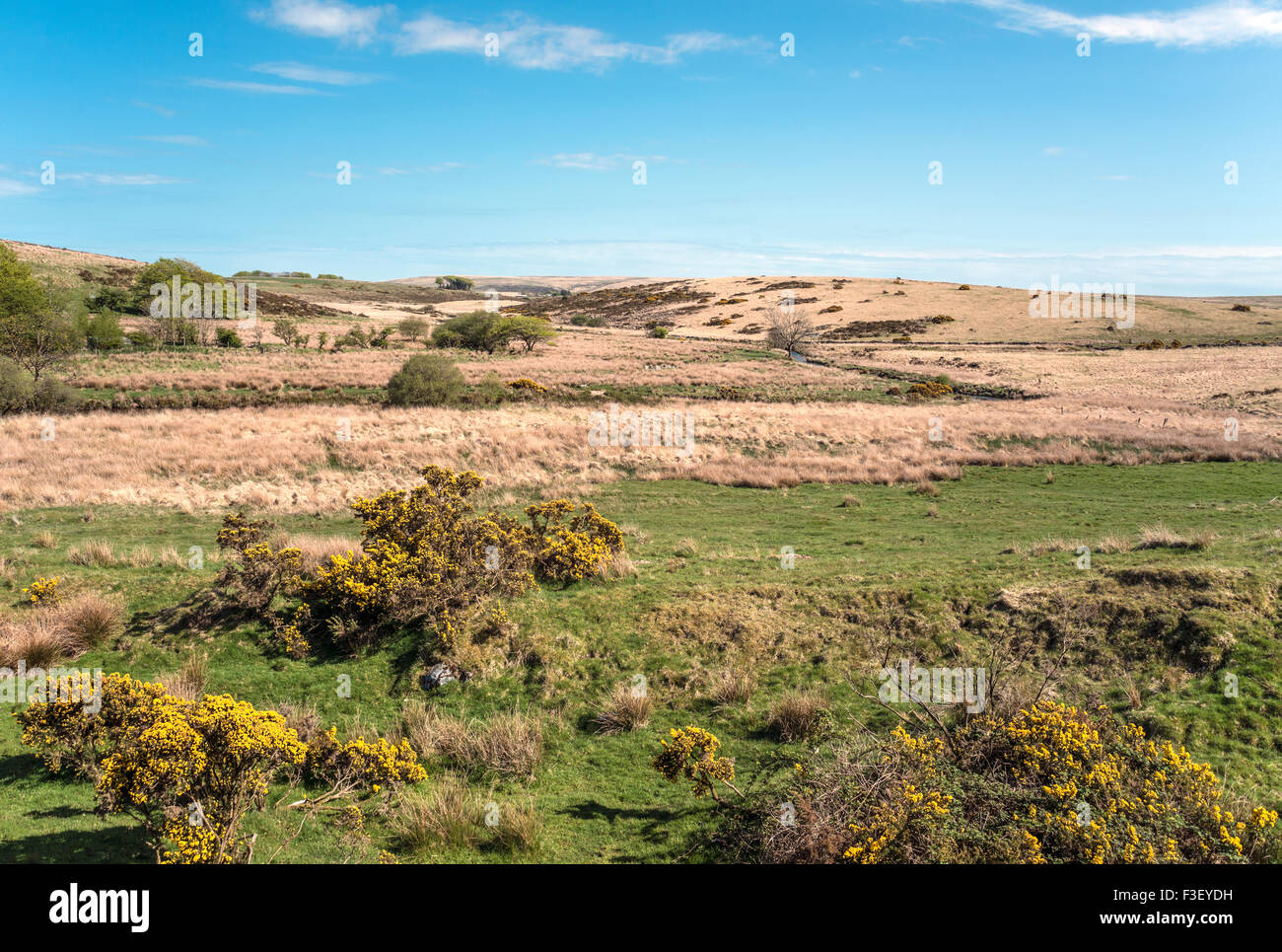 Landscape at the Dartmoor National Park, Devon, England, UK Stock Photo