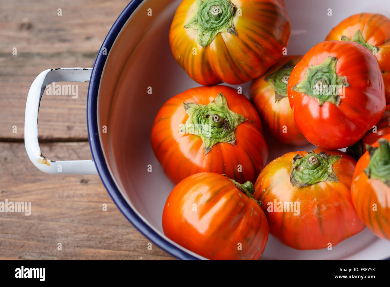 Red eggplant (Solanum aethiopicum) from Rotonda, region Basilicata, Italy Stock Photo