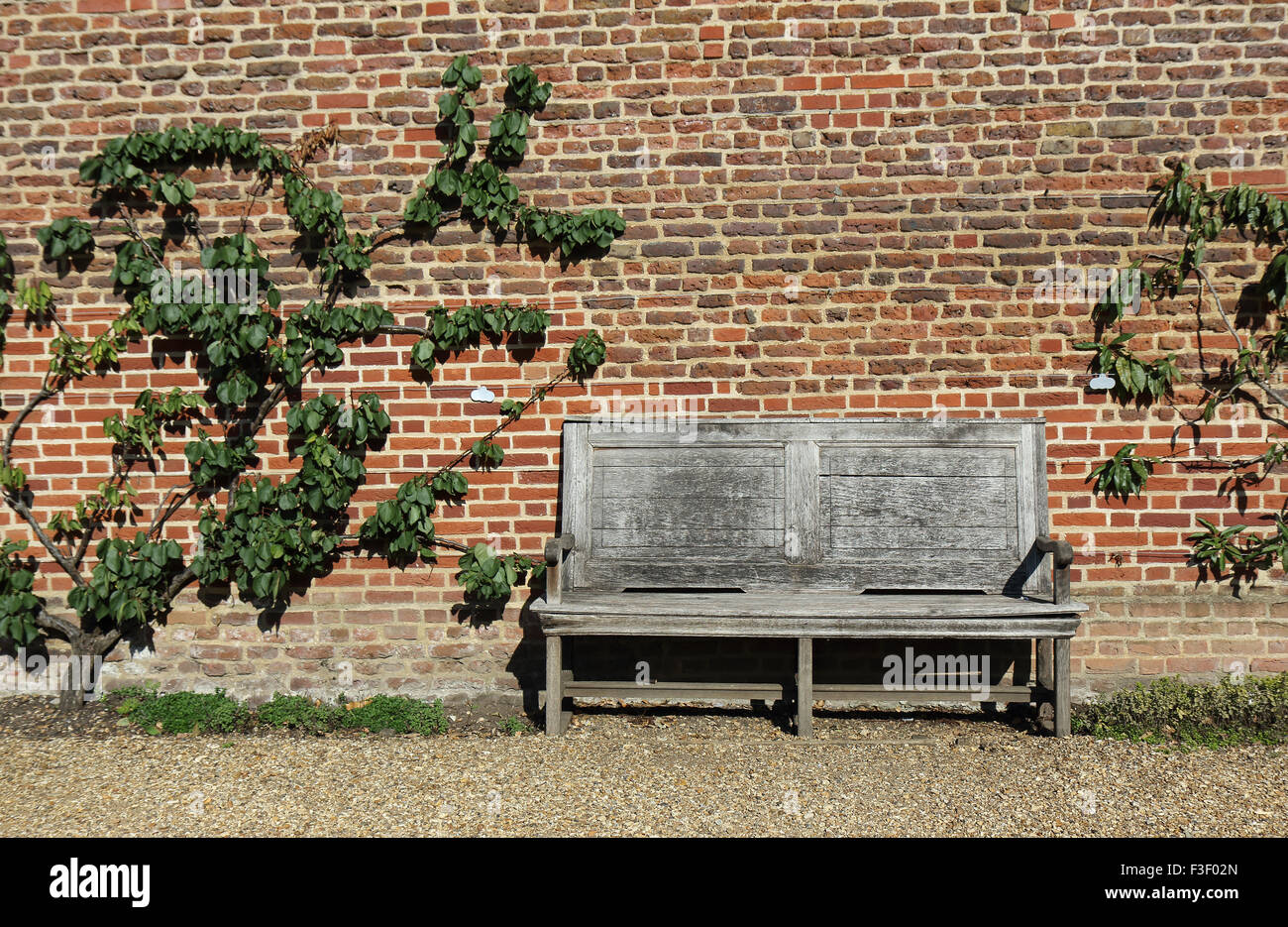 An Old wooden bench located in front of a brick wall Stock Photo - Alamy