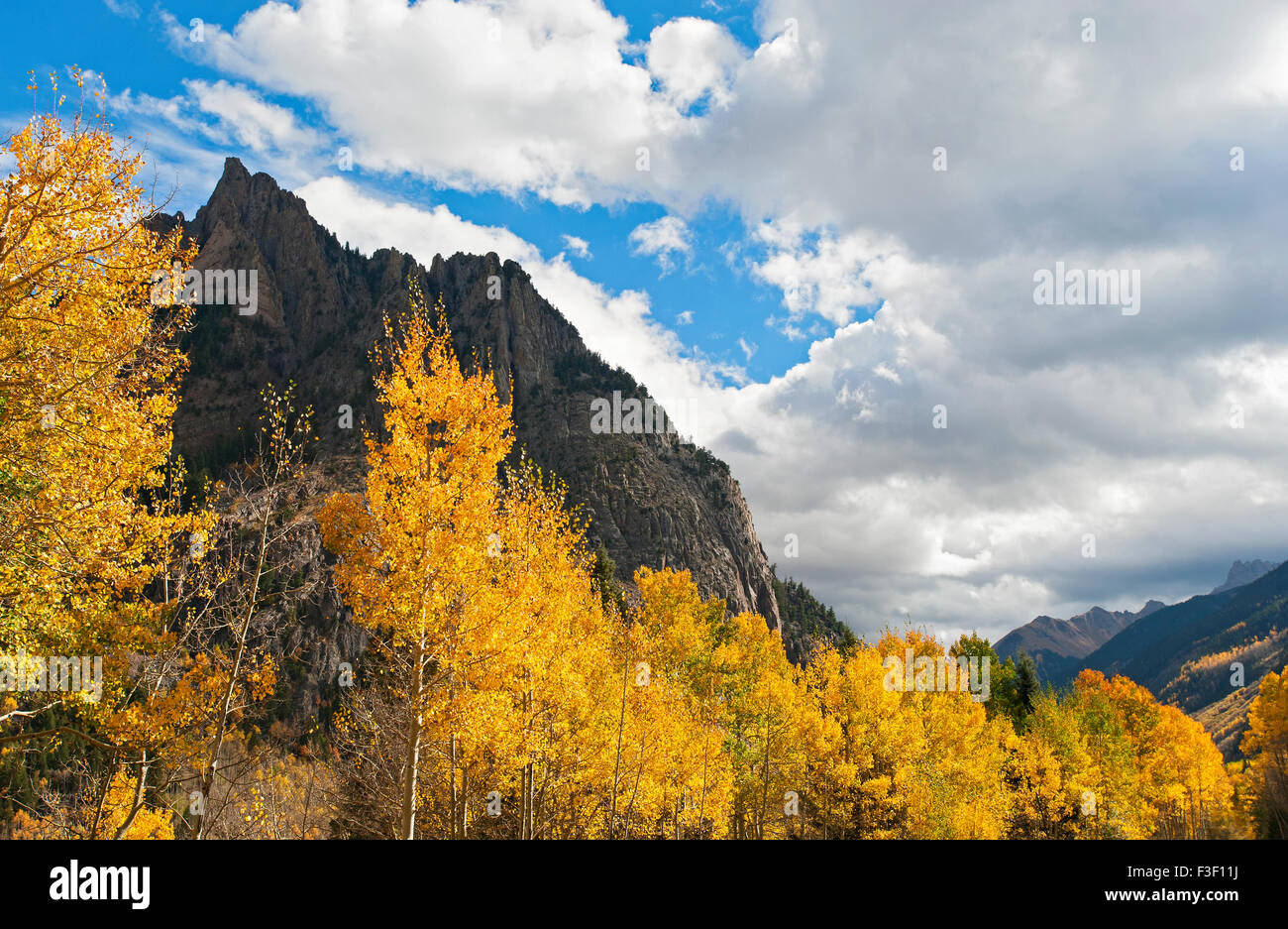 Leaf displays near Telluride, Colorado Stock Photo