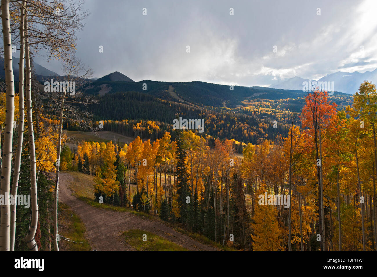 Autumn leaf dispays in Telluride, CO as seen from a gondola Stock Photo