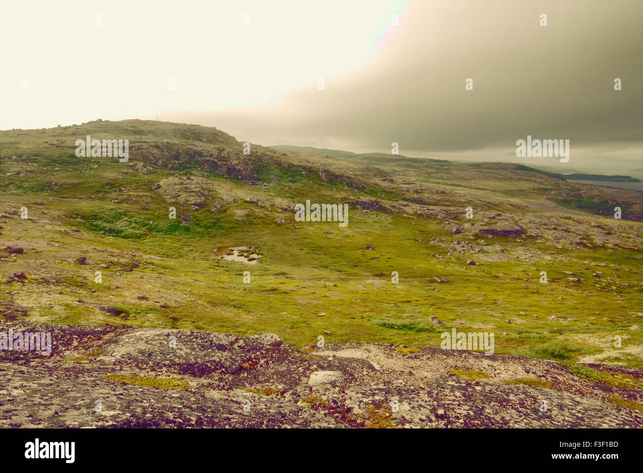 hills with tundra above Arctic circle Stock Photo Alamy